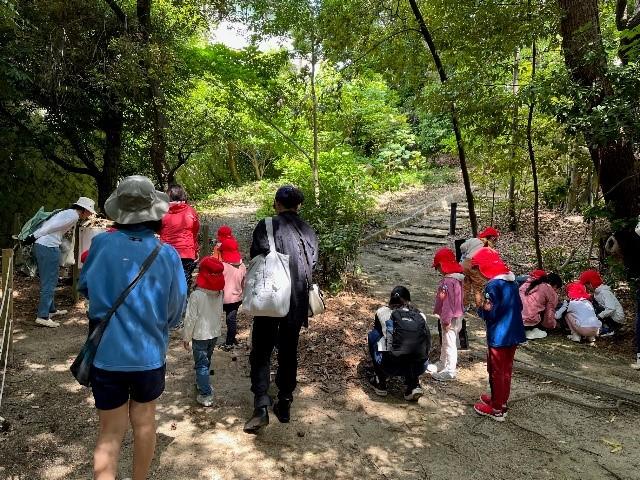 神戸女学院大学が6月11日に芦屋市立緑保育所で「身の回りの生き物図鑑を作ろう！」を開催 ― 芦屋市との連携協定に基づく子ども向け環境教育イベント