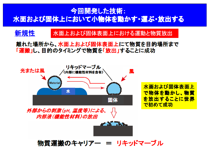 水面はスイスイ 固体面はコロコロ　小物体を”水陸両用”で運搬する技術を開発 — 大阪工業大学