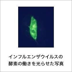 目に見えない働き者「酵素」を見よう！　小学５・６年生対象のサイエンス講座を開講–広島国際大学