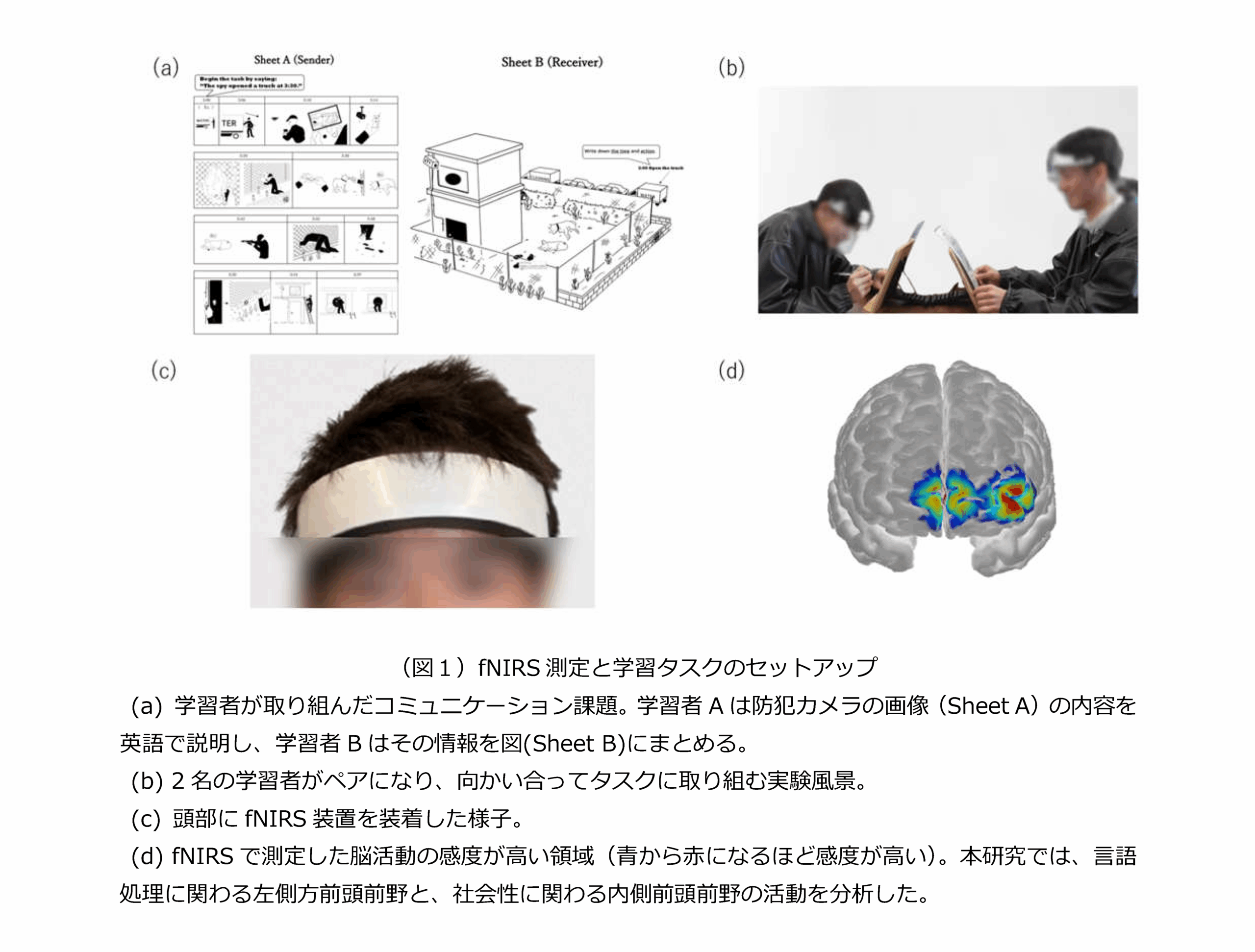 【玉川大学 ELFセンター講師 中村幸子先生 共同研究成果】英単語の練習、脳科学で最適なタイミングを探る ― 記憶定着は対話「前」、意思疎通の促進なら対話「後」の練習が効果的 ―