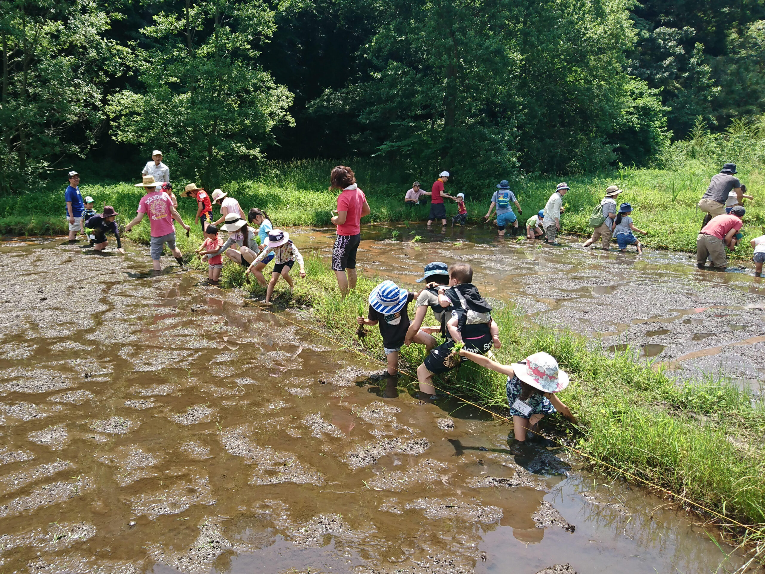 湘南工科大学が学外の市民団体や施設などで「社会貢献活動」を展開 — 豊かな人間性や発想力の涵養に注力