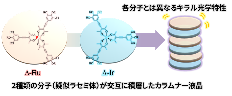 【日本大学】液晶内部のキラル構造を解明～擬ラセミ体を利用したキラル光学材料へ～