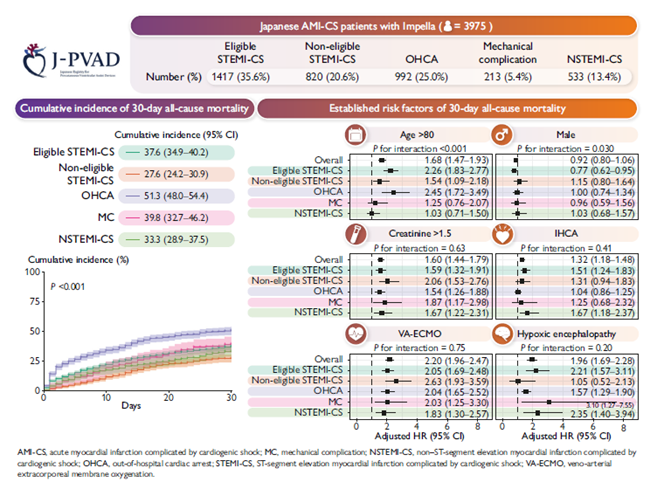 【日本大学】心原性ショックを伴う急性心筋梗塞におけるインペラの全国リアルワールドデータをトップジャーナルに報告