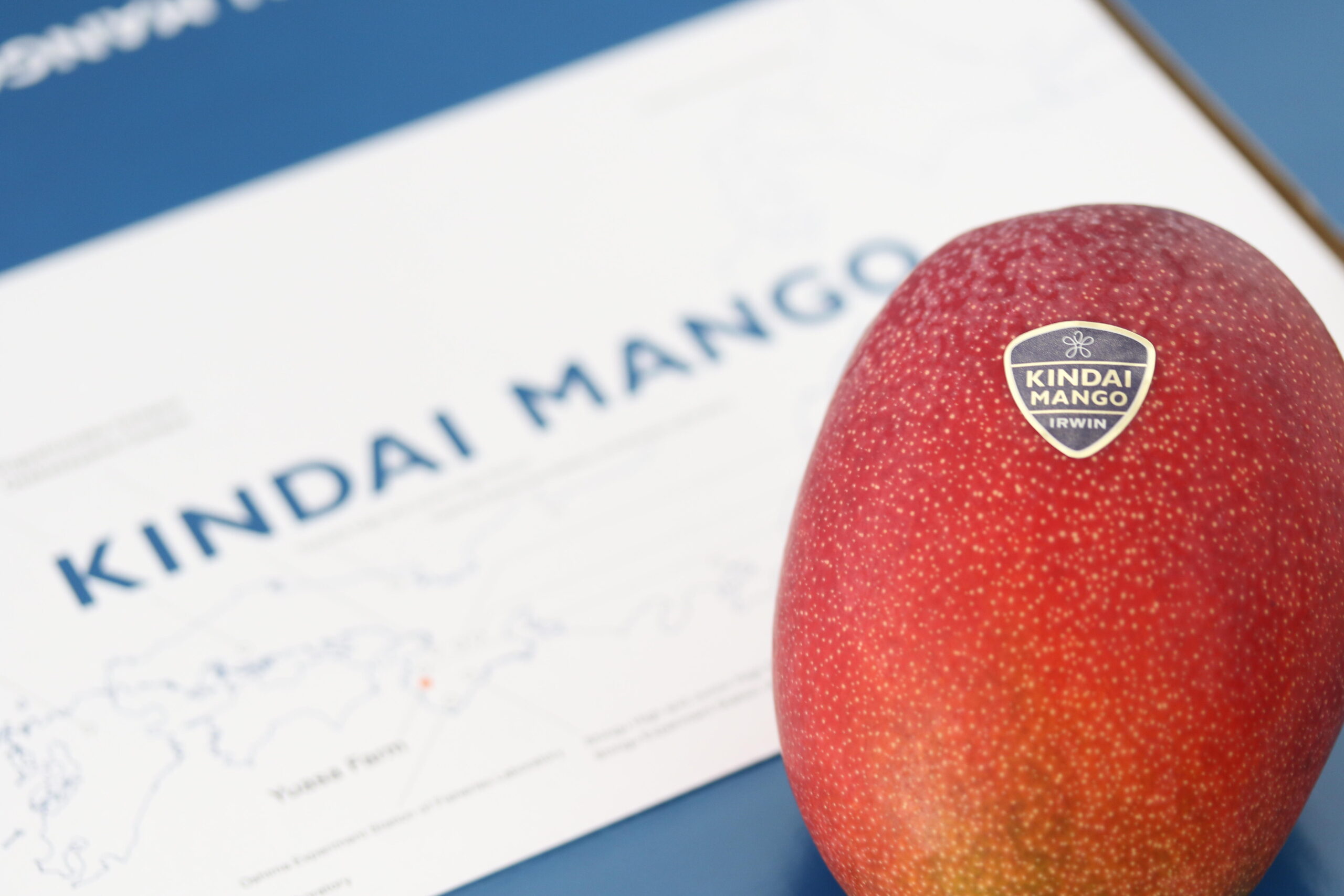 「近大マンゴー」を8/4から阪神梅田本店で販売