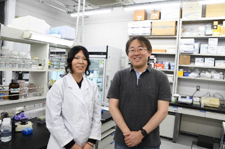 DNA修復タンパク質RAD52がDNAと結合した立体構造を世界で初めて解明～RAD52に作用する新規のがん治療薬開発への貢献に期待 — 明星大学