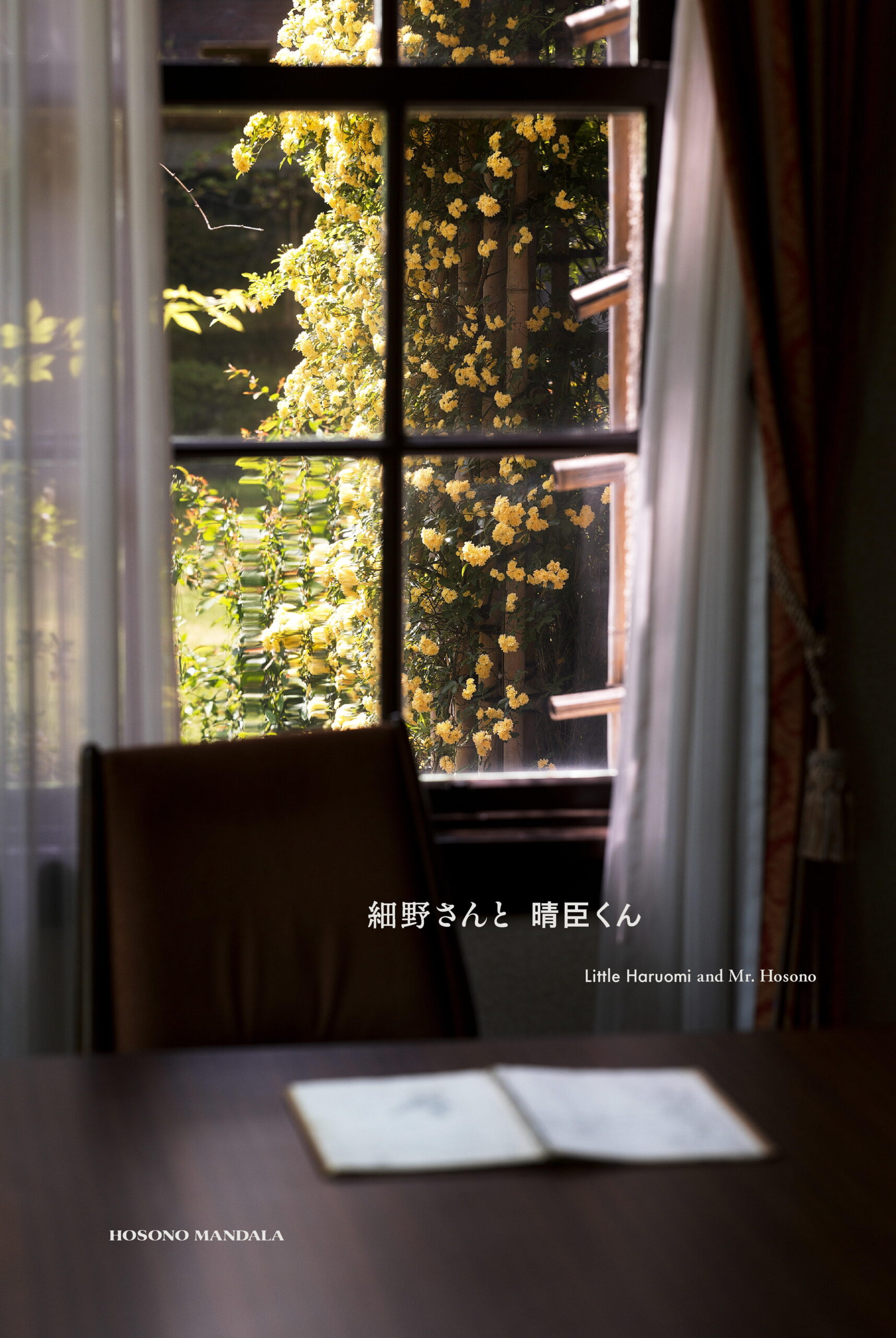 細野晴臣氏の企画展『細野さんと晴臣くん』を開催　～ 5月31日 立教大学ライフスナイダー館にて ～