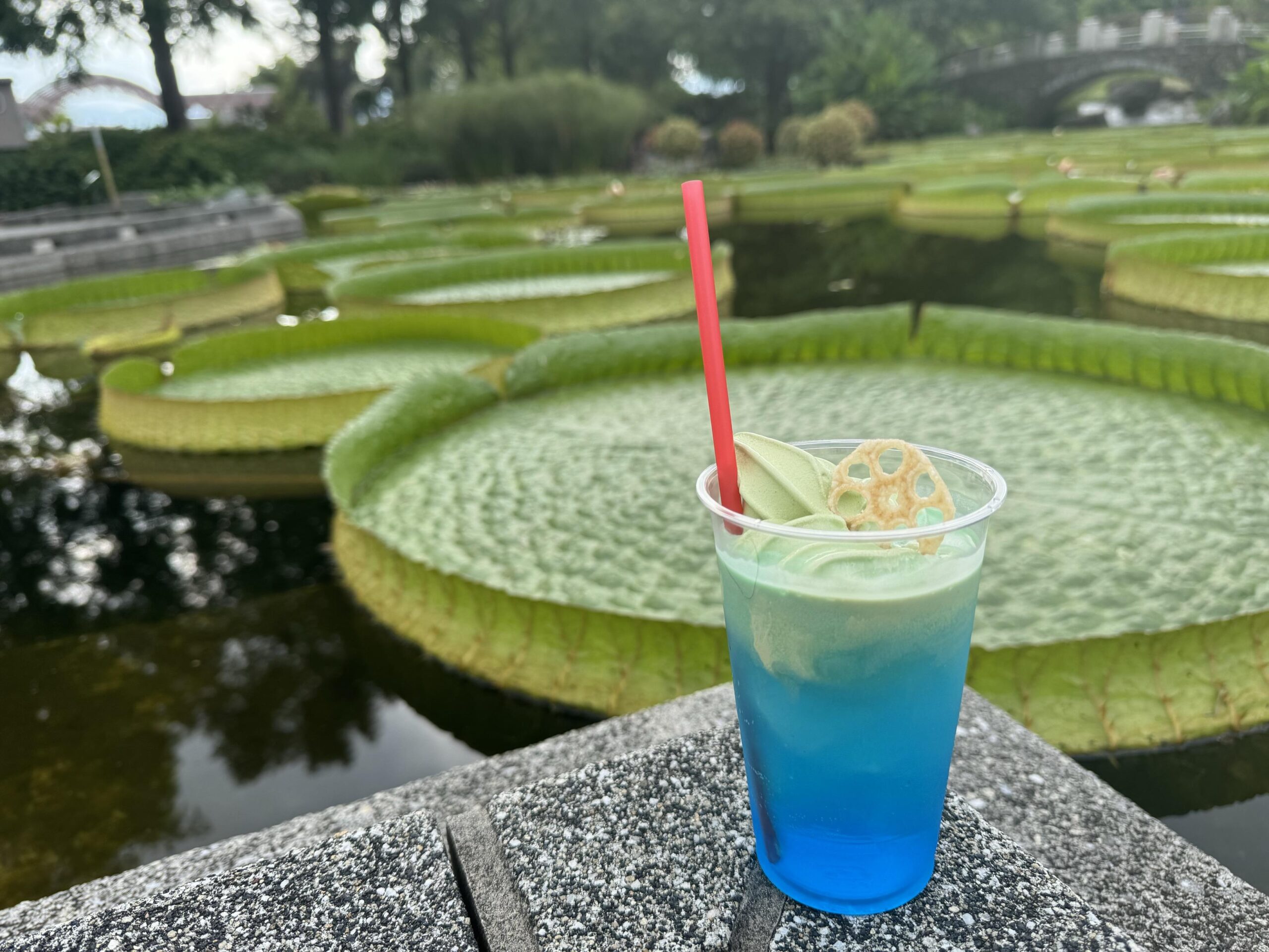 【京都橘大学】新たな「草津市ブランド」を目指した商品開発プロジェクト「草津市立水生植物公園 みずの森」にて発売決定！