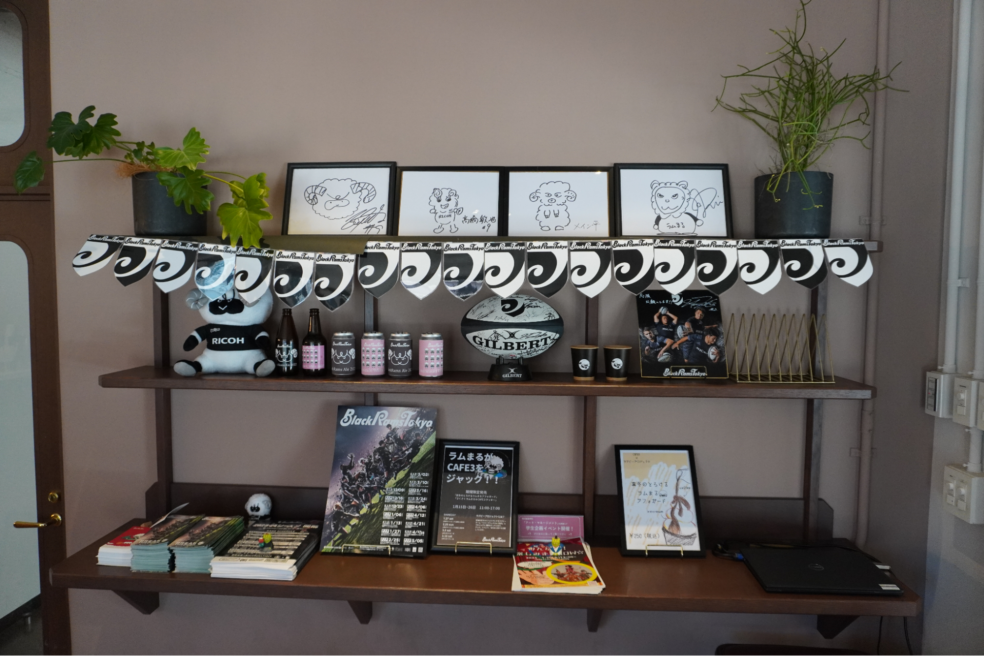 世田谷のラグビーチーム「リコーブラックラムズ東京」と連携　学内カフェでチームマスコット「ラムまる」企画を展開–昭和女子大学