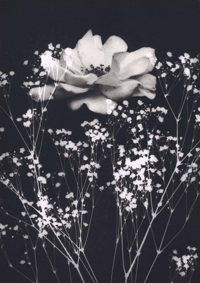 【東京工芸大学】日本・スウェーデン写真学生による国際共同プロジェクト2025開催