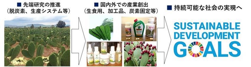 【中部大学】中部大学 サボテン・多肉植物研究センターを新設—脱炭素技術や持続可能な食料・飼料生産システムを開発、「持続可能な社会」実現へ—