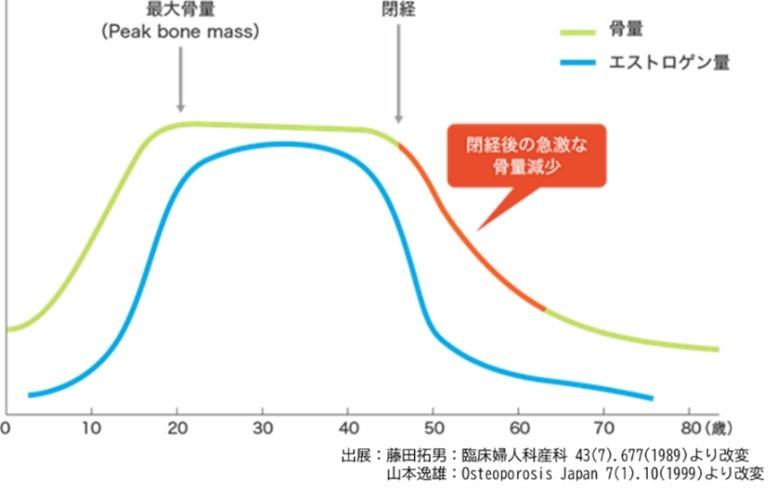 【中部大学】女性の顔のたるみやシワの原因となる顔面骨密度の減少は閉経前から進行！ ー難消化性オリゴ糖「マルトビオン酸」に顔面骨密度維持機能を確認 ー