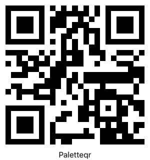 女子大生が見た日本の社会問題を英文で発信する情報サイト「Palette」オープン — 昭和女子大学