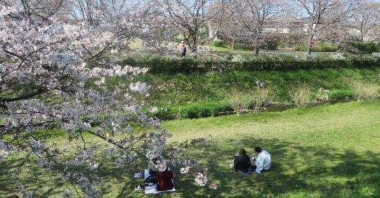 【麻布大学】「大学生と一緒にデジタル技術で」シリーズ第2弾　県立公園の自然をきっかけに世界中の愛好家と盛り上がろう！ －麻布大学×神奈川県公園協会×サカタのタネGS 市民参加型ワークショップ開催のご案内－