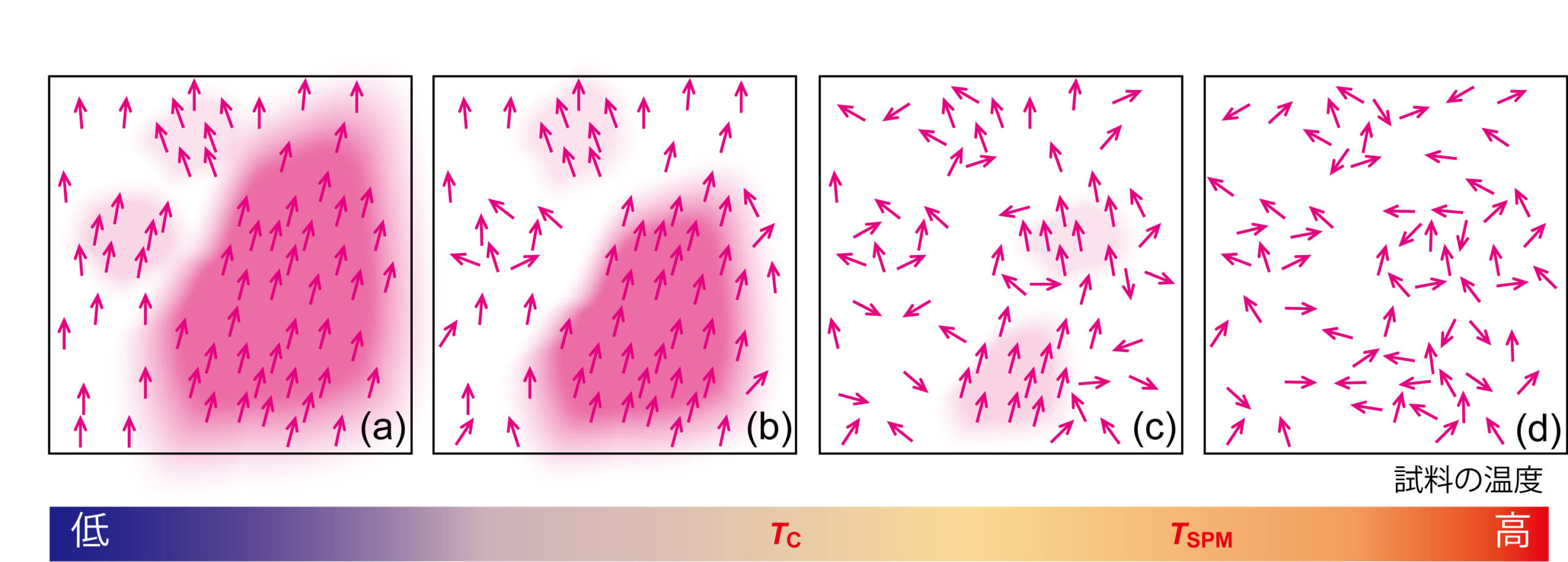 【京都産業大学】半導体が磁石にもなるとき何が起こるのか？ — エレクトロニクスから次世代スピントロニクス社会実現への一歩 —
