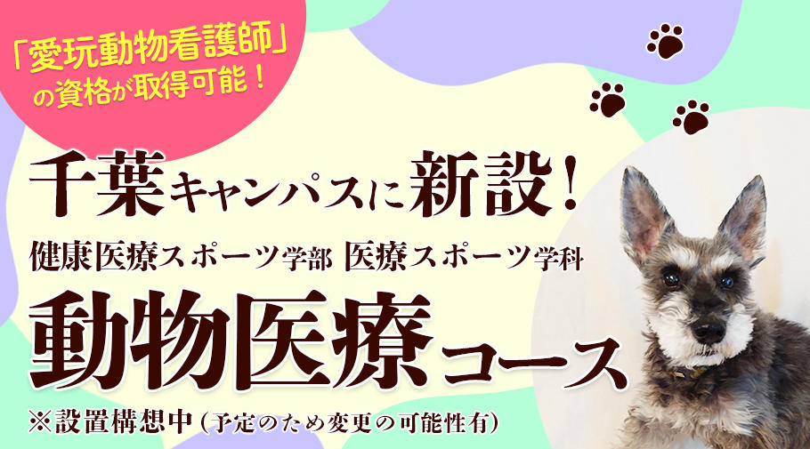 帝京平成大学が2022年度から千葉キャンパスに動物医療コースを設置 — 新しい国家資格「愛玩動物看護師」に対応したカリキュラムをスタート
