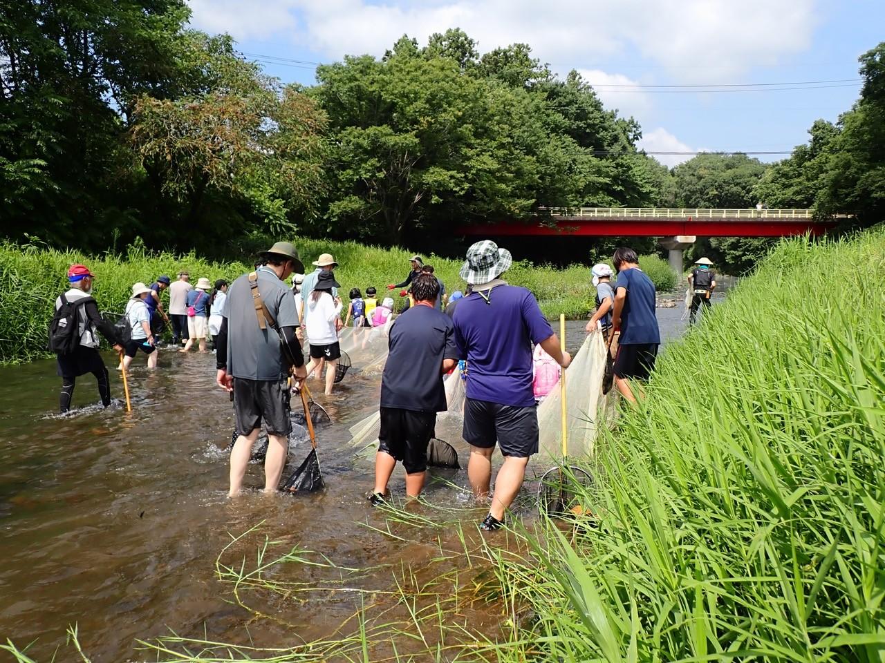城西大学の真野博教授が理事を務めるNPO法人「荒川流域ネットワーク」が高麗川でアユ地引網漁体験イベントを実施 ― 約50人が参加し伝統文化と地産地消を体験