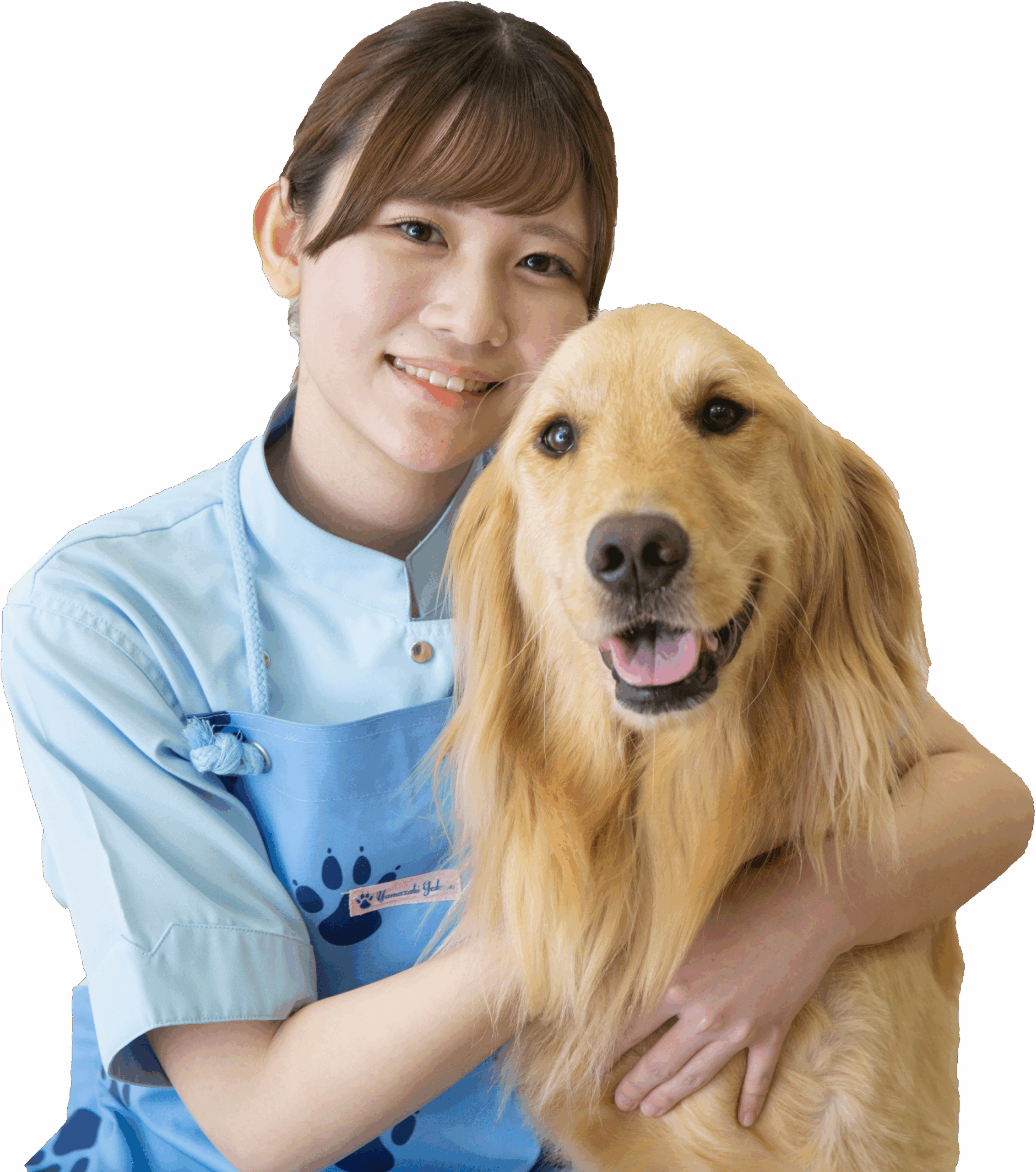 ヤマザキ動物看護専門職短期大学が渋谷区と協働で「ペットと新型コロナウイルス感染症について」のガイドラインを作成しました