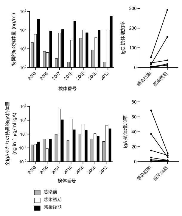 唾液によるインフルエンザ抗体測定の有用性を示す論文発表～簡便かつ効率的な診断や経鼻ワクチンの効果判定などに期待 — 東京工科大学