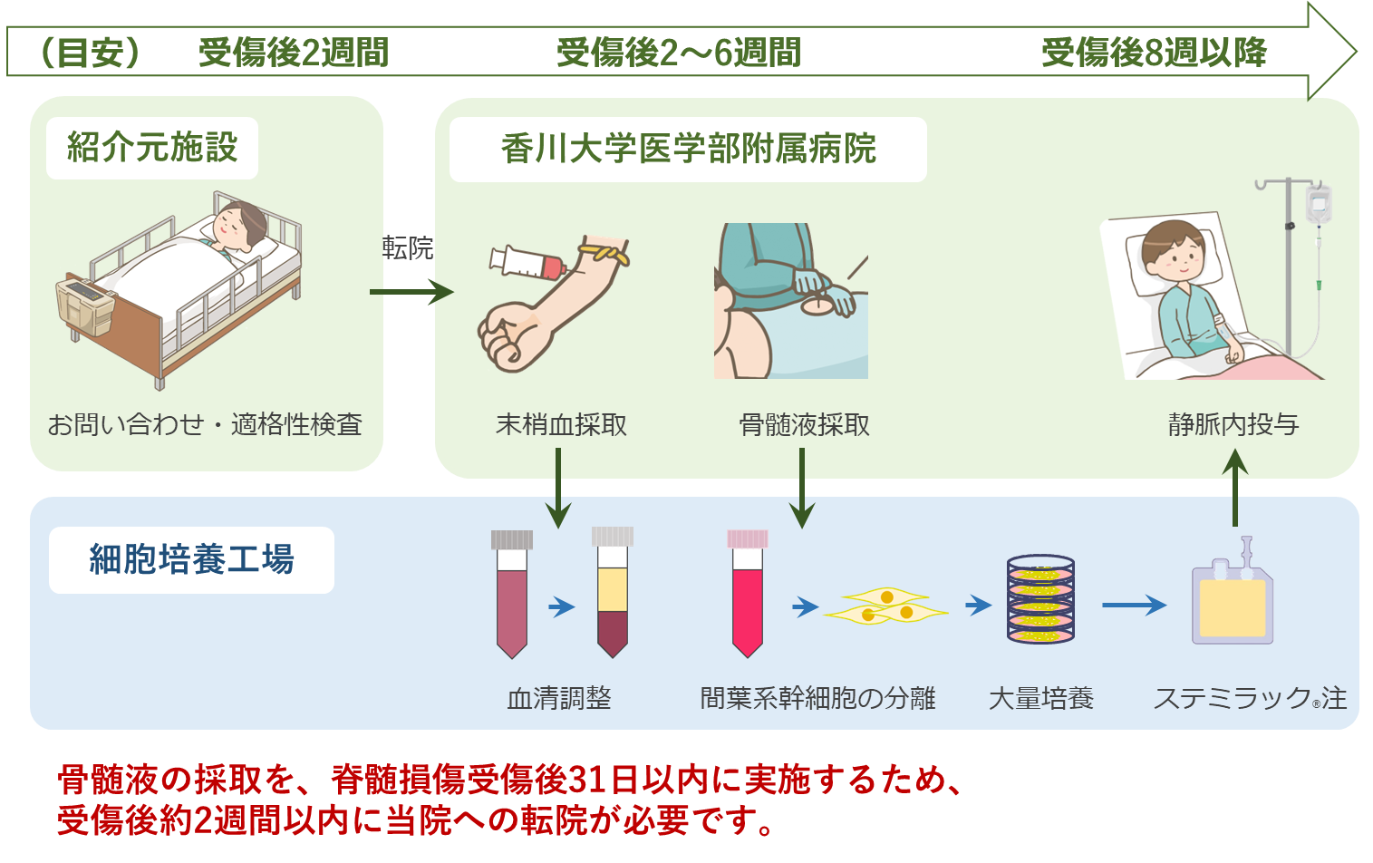 【香川大学】再生医療で希望の光を！―中四国初！香川大学医学部附属病院で急性期脊髄損傷における再生医療による治療を開始―