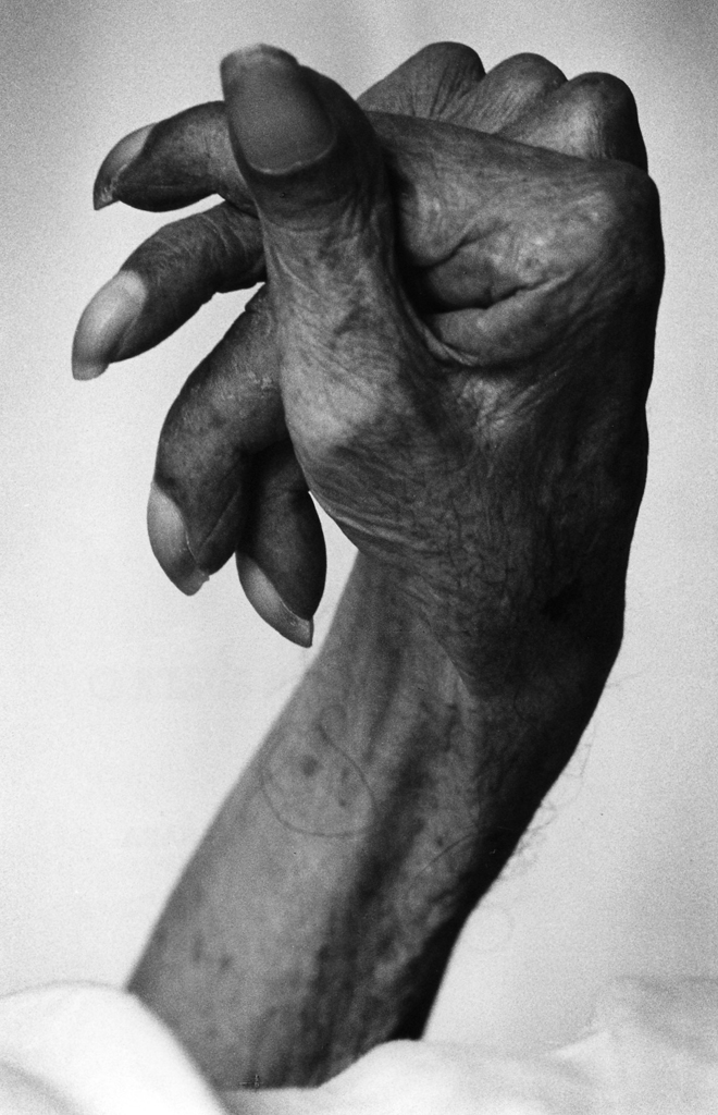 発生から半世紀、水俣病は現代日本に何を物語るか　──明治大学が「水俣・明治大学展」を９月４日（土）～１９日（日）に開催