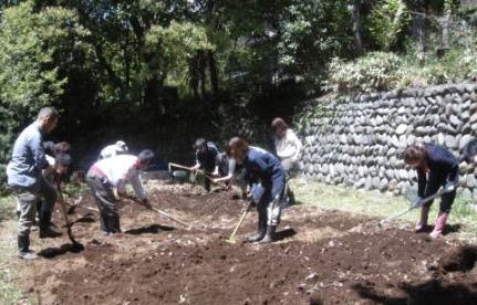 経済を学ぶ大学で野菜づくり！？――東京経済大学の学生が夏野菜栽培に向けて、国分寺キャンパスで畑の土づくり