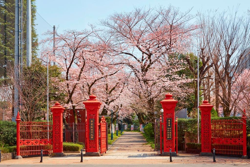 学習院女子大学のプロフィール画像