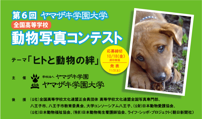 ヤマザキ学園大学が「第6回　全国高等学校　動物写真コンテスト」を開催――全国の高校生から「ヒトと動物の絆」をテーマに作品を募集