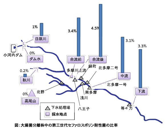 都市河川における「薬剤耐性菌」の存在実態を、多摩川の現地調査で明らかに――東京工科大学応用生物学部