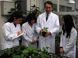 法政大学植物医科学専修の第１期生が外部インターンシップに参加