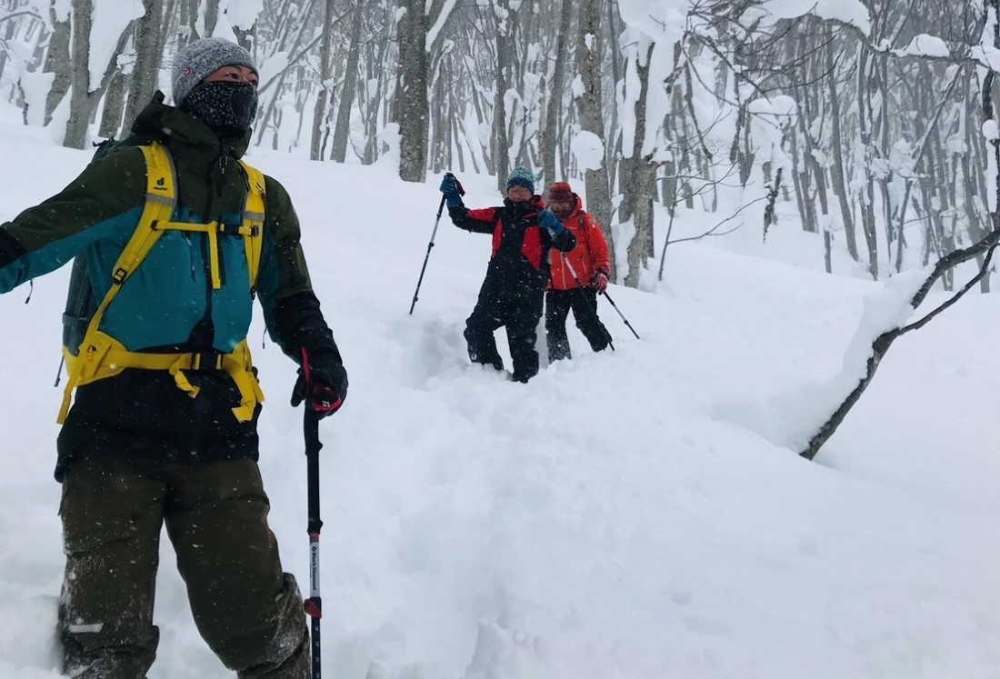 青森大学が八甲田山中の新湯エリアを舞台にした観光ツアー「八甲田新湯スノーシュープライベートツアー」を開発、学生がガイドを担当 ― 雄大な自然の中でブナに囲まれた温泉やスノーシューを楽しむ