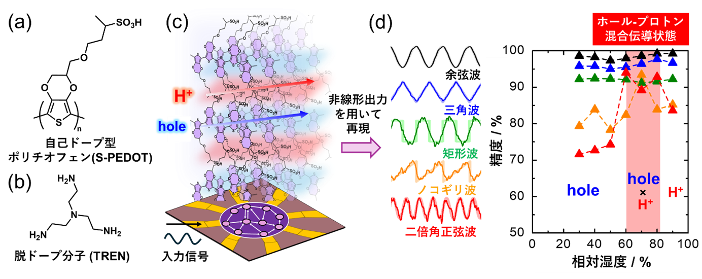 【立教大学】マテリアルリザバー性能が向上する電子 – イオン混合伝導～イオンを積極的に活用したニューロモルフィック分子ネットワークの実証～