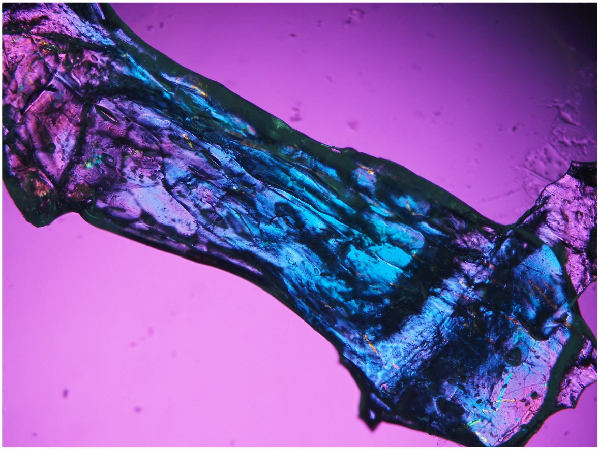 海の宝石に着想得た新発光材料を開発 集まると光り、力加減で光の強さが変化–大阪工業大学