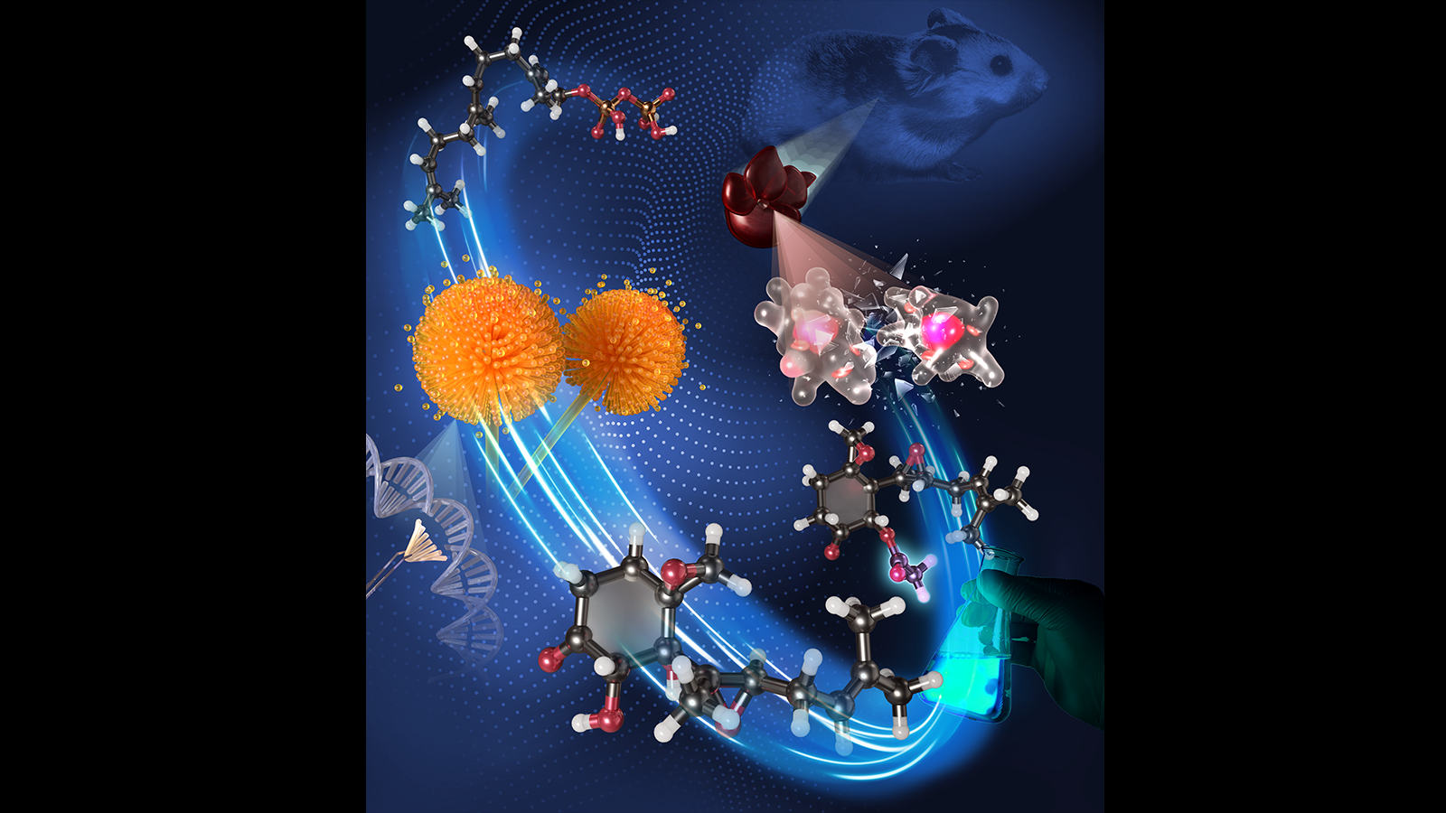薬になりにくい―天然物創薬の限界を突破する合成法確立～赤痢アメーバ症はじめさまざまな疾患治療薬への展開に期待～