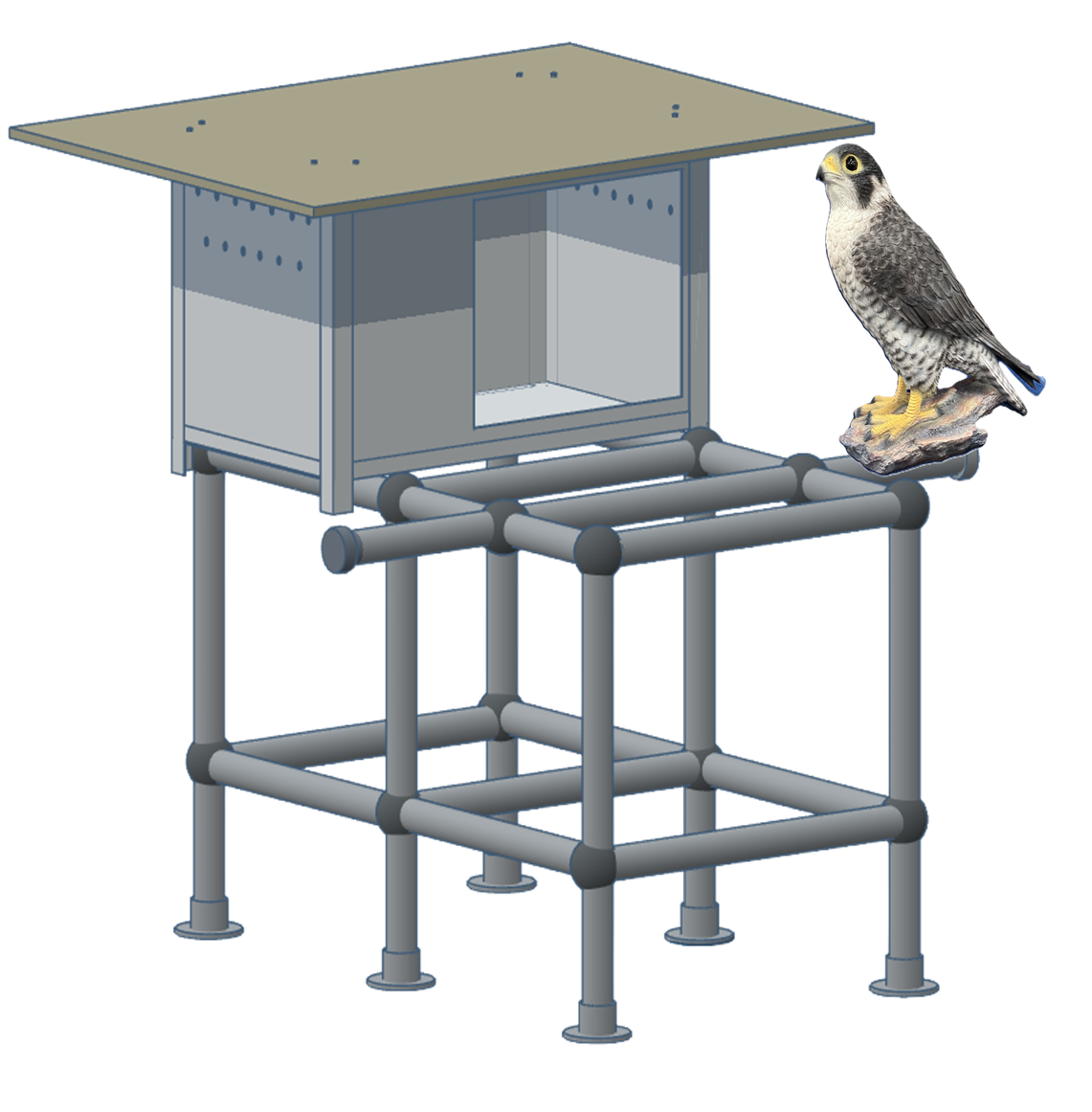 【龍谷大学】国内大学で初の試みとなるネイチャーポジティブの実践 深草キャンパスにハヤブサ人工巣を設置