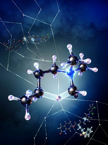 医薬品分子の窒素遠隔位をピンポイントで編集する新技術―ラジカル移動を鍵とした第3級アミンの遠隔C–H官能基化―