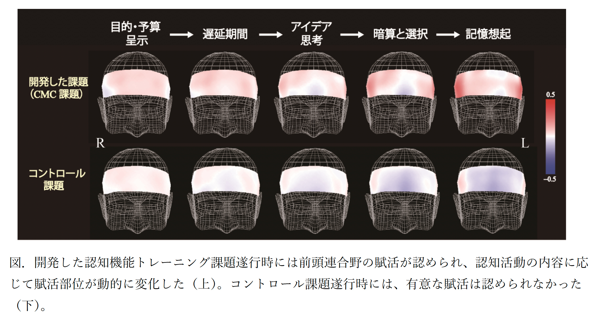 【杏林大学】日常生活への汎化を目的とした新しい認知機能トレーニング課題の遂行時に、前頭連合野の脳血流が活性化することを実証　～前頭連合野機能をターゲットにした新たなリハビリテーションとして期待～