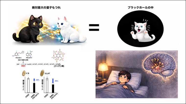 【ニュース特集】宇宙の謎から食、睡眠まで ～先端研究が拓く未来の世界（26年1～2月のアクセスランキング30）