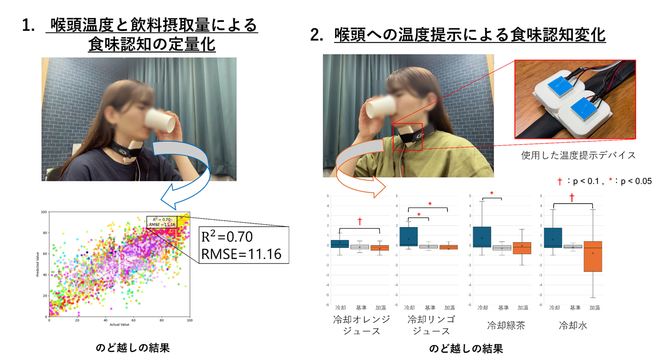 ＜飲み心地は「喉」で変えられる！？＞喉温度と飲用量から飲み心地を推定し、 温度制御で操作する技術を開発