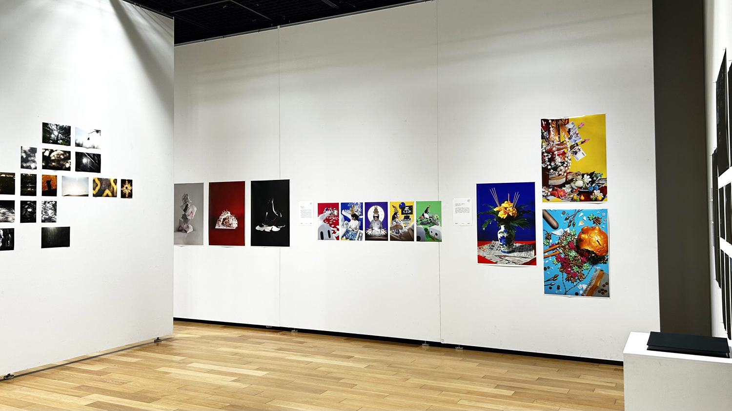 東京工芸大学とタイ・チェンマイ大学共同写真展