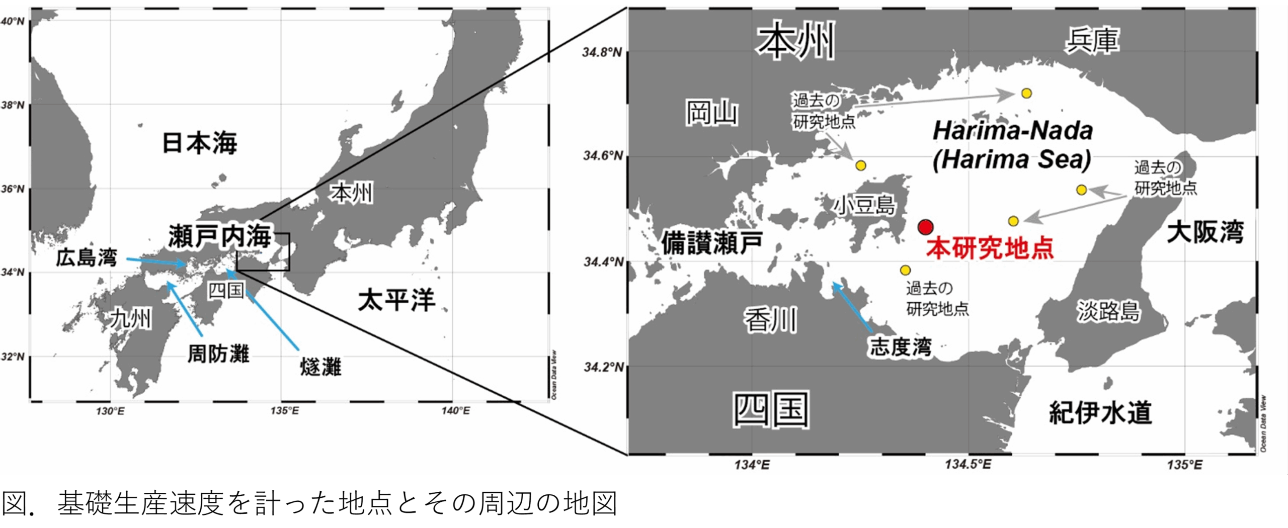栄養塩が半減しても、海の生産力は一定水準を保っていた ～播磨灘の植物プランクトン生産量を3年半にわたり測定して実証～