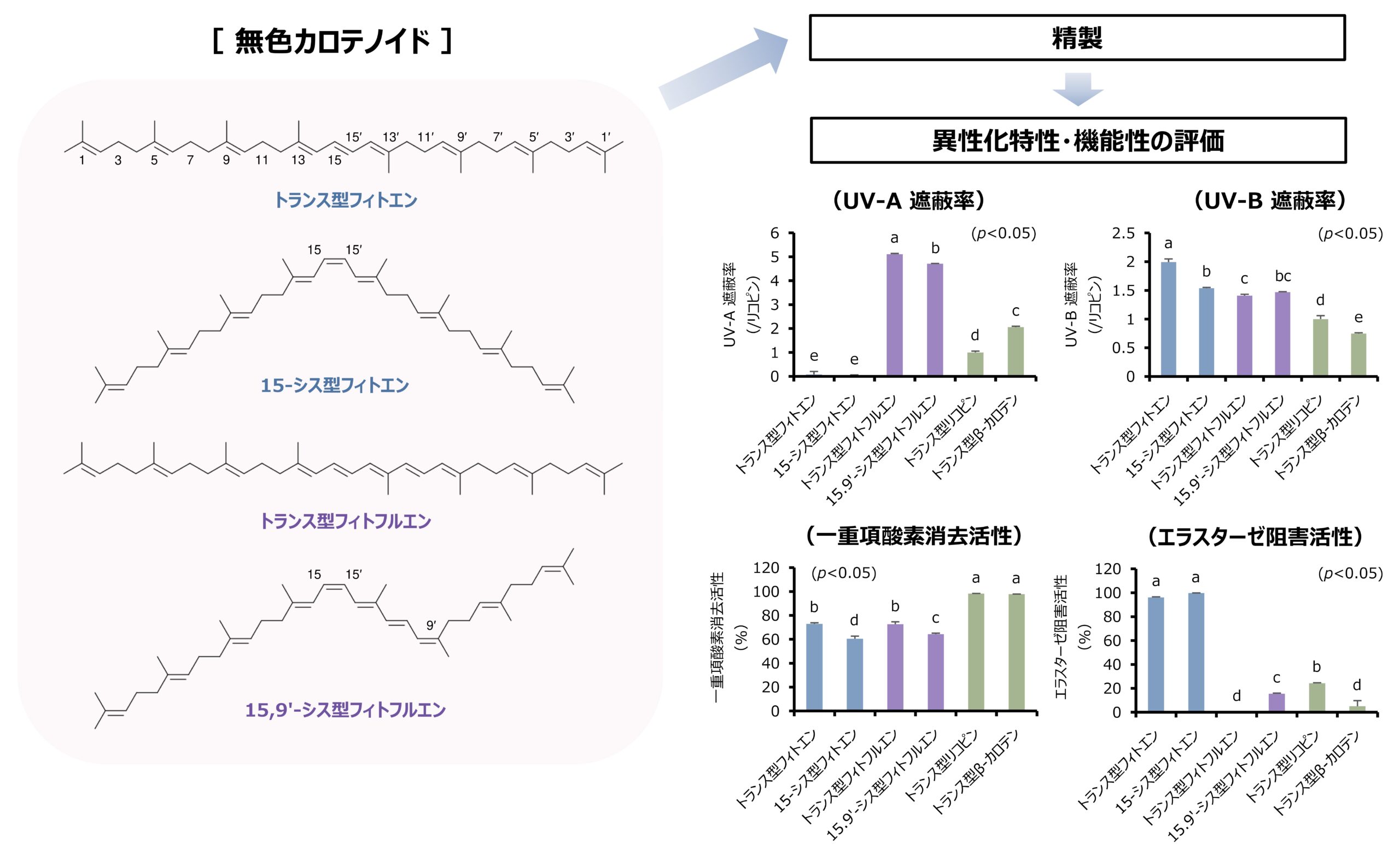 【名城大学】次世代の化粧品・食品素材の開発へ！ 天然由来の無色カロテノイドの紫外線防御と美容効果を確認