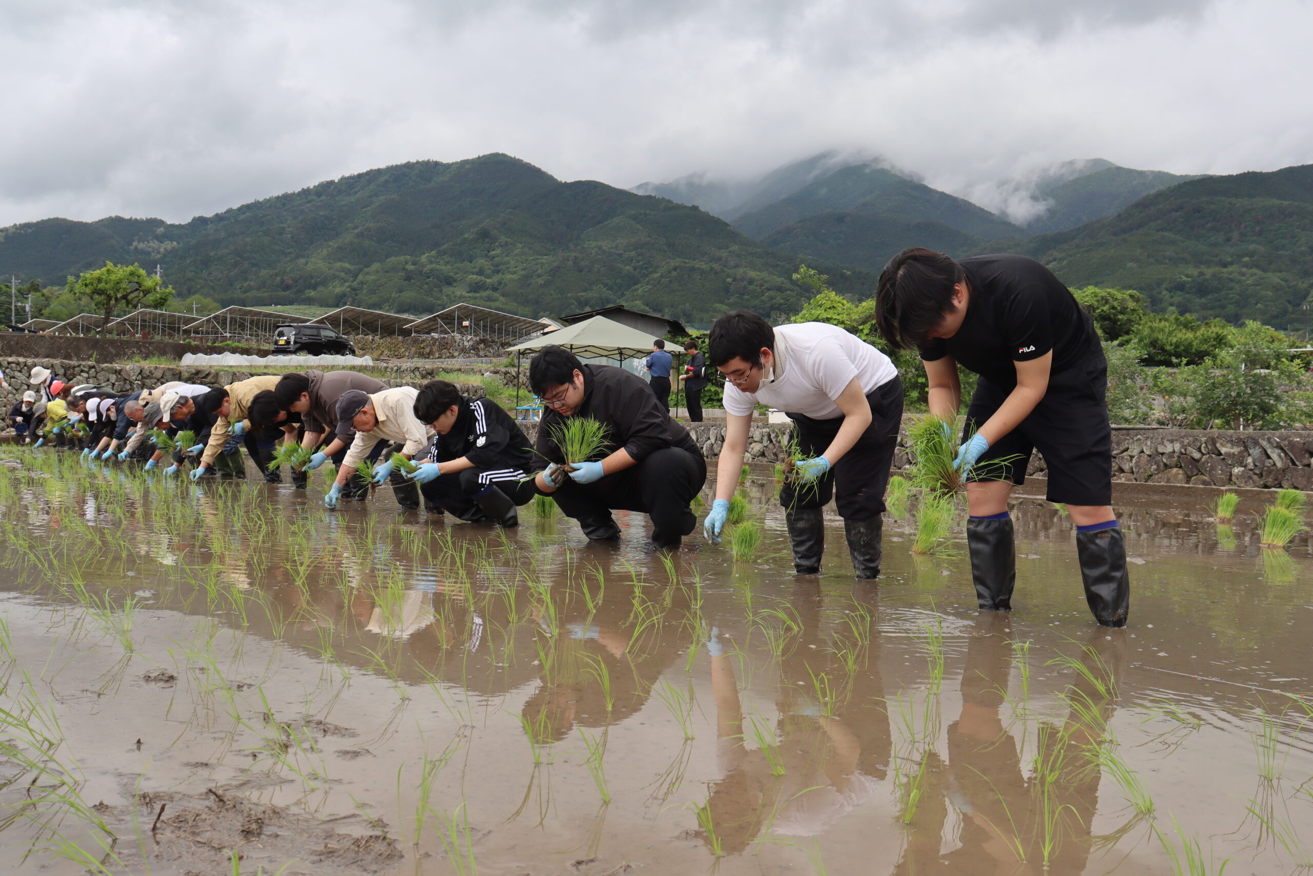 多摩大学 ジェロントロジー企画第16弾「田植え体験 × 講座」を開催