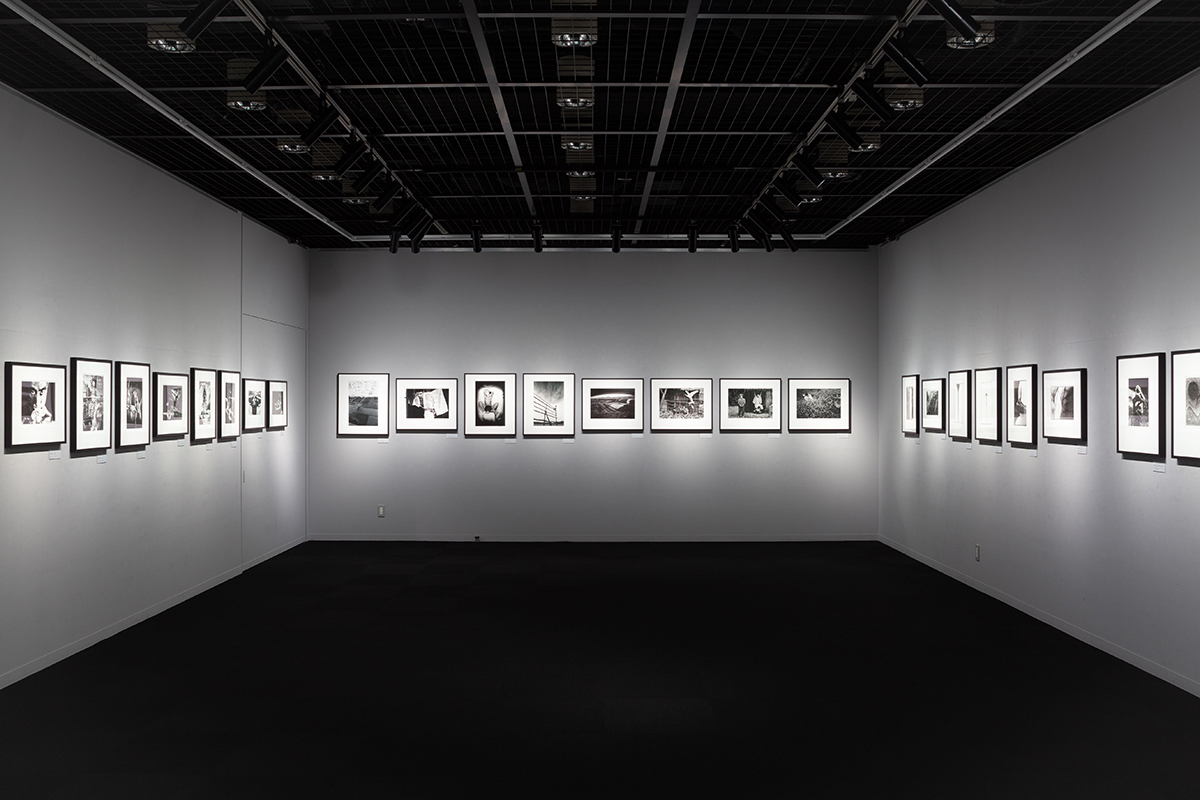 東京工芸大学 写大ギャラリーが2026年度 日本写真学会 「東陽賞」を受賞