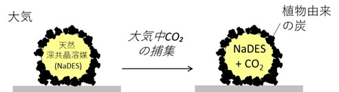【大阪工業大学】CO2を効率的に吸収するリキッドマーブル開発 ココナツ殻原料に繰り返し使えるエコ材料