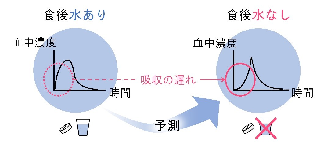 【摂南大学】水なしで飲むOD錠、開発試験の効率化に期待 薬物の吸収遅れを予測する新解析手法を構築