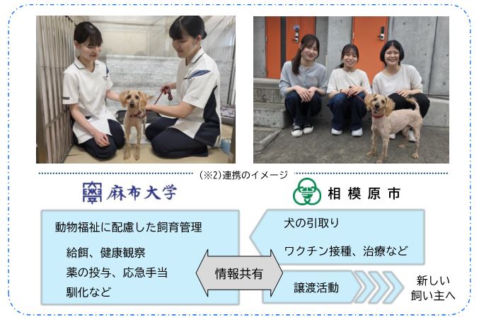 【麻布大学】(仮称)相模原市動物愛護センター基本計画の策定と 相模原市との新たな取組について