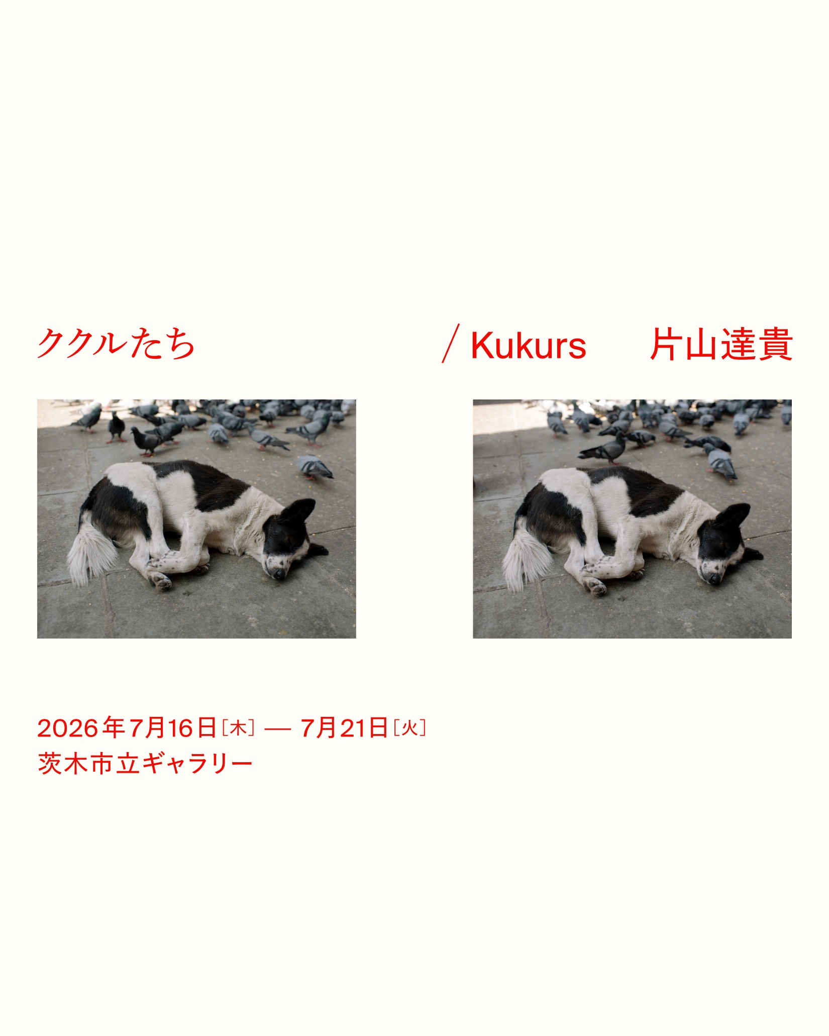 追手門学院大学が7月16日～21日まで茨木市立ギャラリーで写真家・片山達貴氏の個展「ククルたち / Kukurs」を開催 ― 社会学部の学生が展示準備・運営を担当