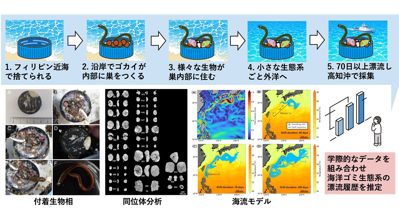プラスチック製ボトルキャップに乗ったゴカイ達の航海記録 ～付着生物相・同位体分析・海流モデルから海洋ごみ生態系の漂流の道のりを推定～　