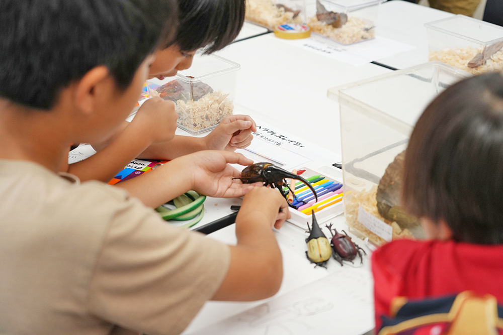 【京都橘大学】＜小学生対象＞たちばなサイエンスデー2026 開催 －大学の研究にふれてみよう－