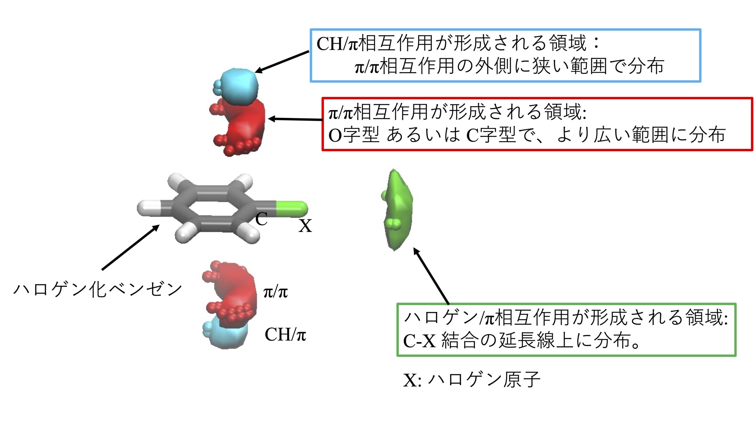 【昭和医科大学】医薬品の設計に役立つ重要な「分子間相互作用」を3次元で解明 ― より効率的で合理的な創薬につながる新たな手がかり ―